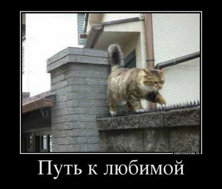 Предлогаю посмотреть новые и смешные демотиваторы, а что с ними еще делать Предлогаю посмотреть новые и смешные демотиваторы, а что с ними еще делать