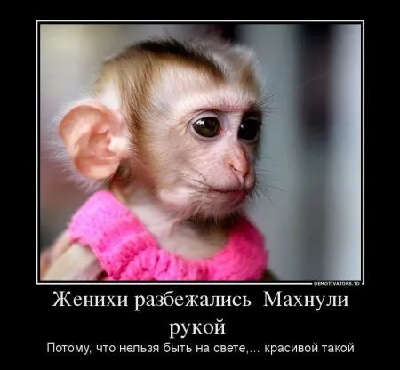 Предлогаю посмотреть новые и смешные демотиваторы, а что с ними еще делать Предлогаю посмотреть новые и смешные демотиваторы, а что с ними еще делать