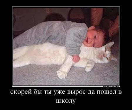 Предлогаю посмотреть новые и смешные демотиваторы, а что с ними еще делать Предлогаю посмотреть новые и смешные демотиваторы, а что с ними еще делать