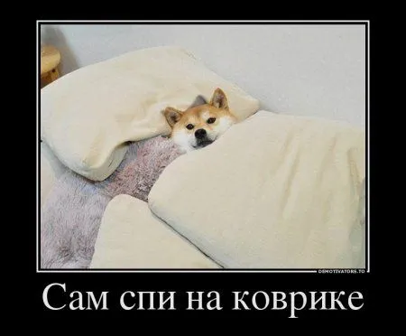 Предлогаю посмотреть новые и смешные демотиваторы, а что с ними еще делать Предлогаю посмотреть новые и смешные демотиваторы, а что с ними еще делать
