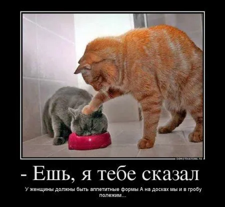 Предлогаю посмотреть новые и смешные демотиваторы, а что с ними еще делать Предлогаю посмотреть новые и смешные демотиваторы, а что с ними еще делать