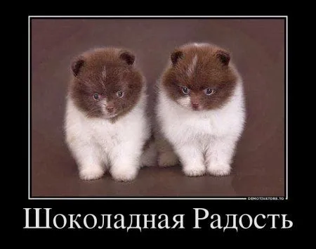 Предлогаю посмотреть новые и смешные демотиваторы, а что с ними еще делать Предлогаю посмотреть новые и смешные демотиваторы, а что с ними еще делать