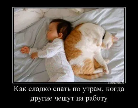 Предлогаю посмотреть новые и смешные демотиваторы, а что с ними еще делать Предлогаю посмотреть новые и смешные демотиваторы, а что с ними еще делать
