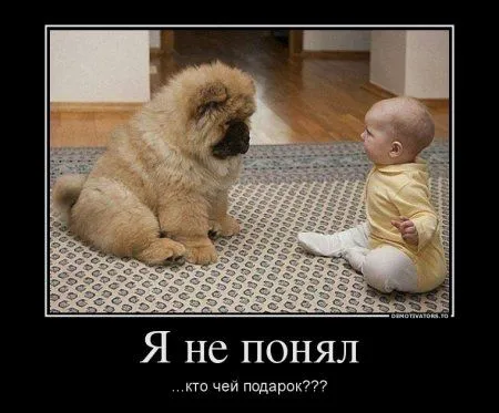 Предлогаю посмотреть новые и смешные демотиваторы, а что с ними еще делать Предлогаю посмотреть новые и смешные демотиваторы, а что с ними еще делать
