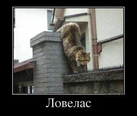 Предлогаю посмотреть новые и смешные демотиваторы, а что с ними еще делать Предлогаю посмотреть новые и смешные демотиваторы, а что с ними еще делать