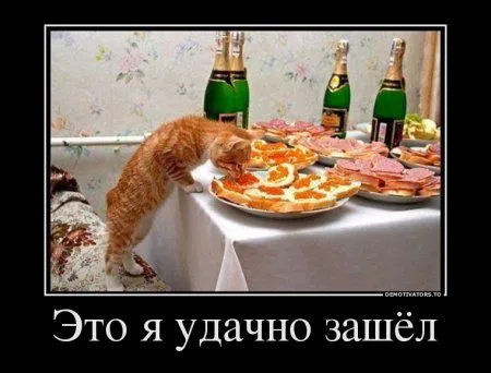 Предлогаю посмотреть новые и смешные демотиваторы, а что с ними еще делать Предлогаю посмотреть новые и смешные демотиваторы, а что с ними еще делать