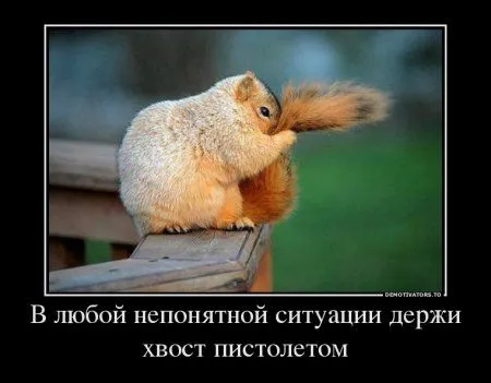 Предлогаю посмотреть новые и смешные демотиваторы, а что с ними еще делать Предлогаю посмотреть новые и смешные демотиваторы, а что с ними еще делать