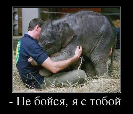 Предлогаю посмотреть новые и смешные демотиваторы, а что с ними еще делать Предлогаю посмотреть новые и смешные демотиваторы, а что с ними еще делать