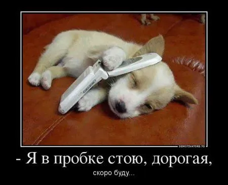Предлогаю посмотреть новые и смешные демотиваторы, а что с ними еще делать Предлогаю посмотреть новые и смешные демотиваторы, а что с ними еще делать
