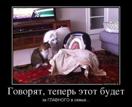 Предлогаю посмотреть новые и смешные демотиваторы, а что с ними еще делать Предлогаю посмотреть новые и смешные демотиваторы, а что с ними еще делать