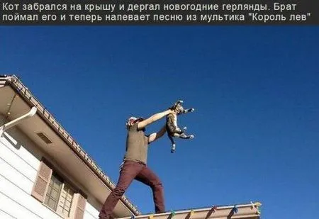 Приколы и фото не вредные