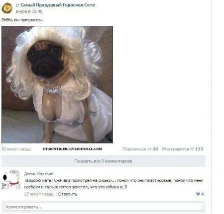 Приколы и фото не вредные