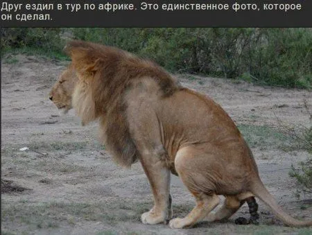Картинки прикольные, проверяй Картинки прикольные, проверяй