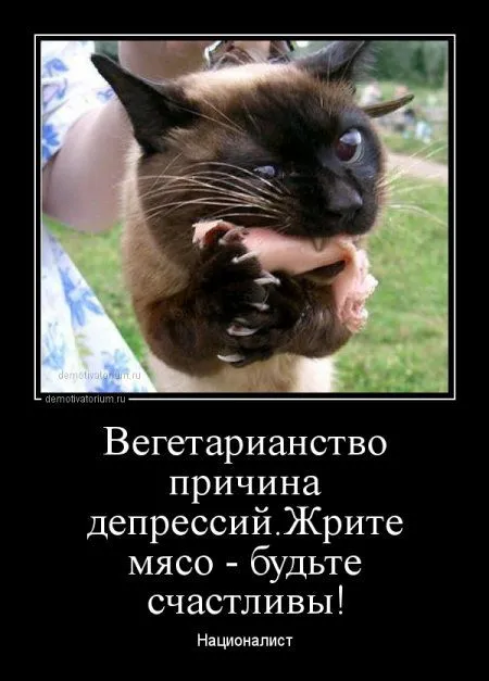 Демки просто демки (36 шт)