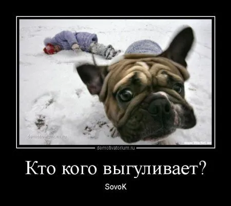 Демки просто демки (36 шт)