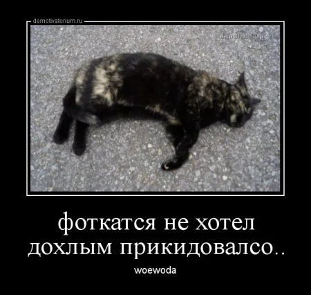 Демки просто демки (36 шт)