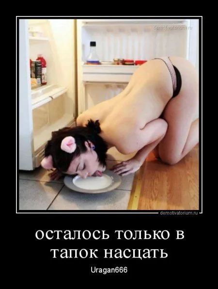 Демки просто демки (36 шт)