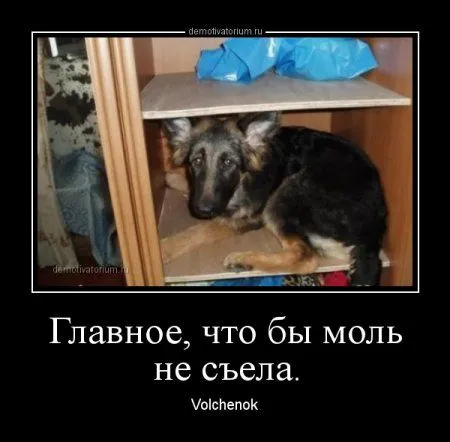 Демки просто демки (36 шт)
