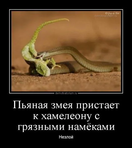Демки просто демки (36 шт)