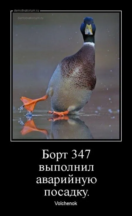 Демки просто демки (36 шт)
