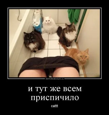Демки просто демки (36 шт)