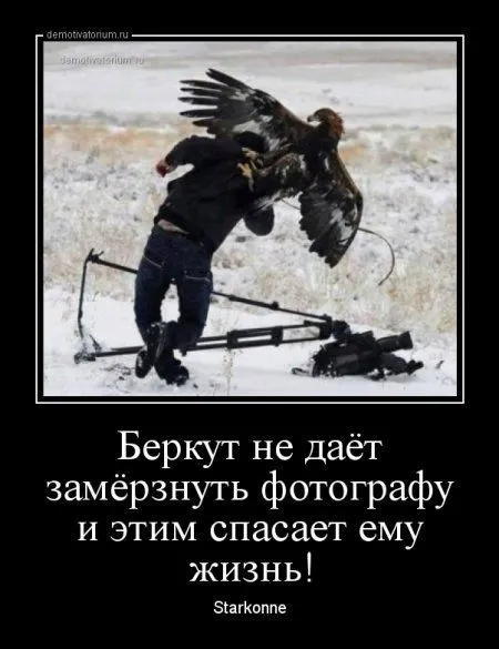 Демки просто демки (36 шт)