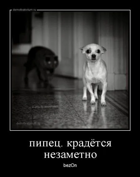 Демки просто демки (36 шт)