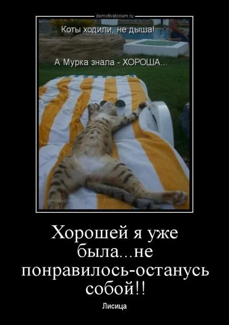 Демки просто демки (36 шт)