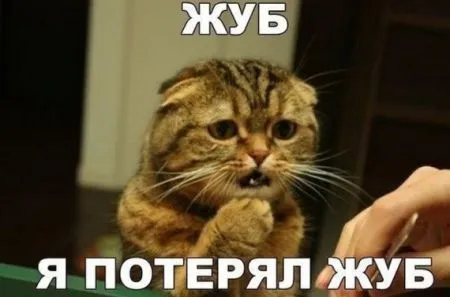 Фото приколы не носки, не нужно их искать