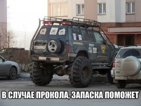 Фото приколы не носки, не нужно их искать
