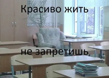 Фото приколы не носки, не нужно их искать