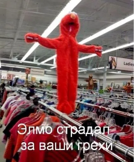 Фото приколы не носки, не нужно их искать