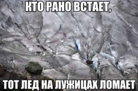 Фото приколы не носки, не нужно их искать