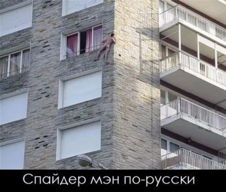 Фото приколы не носки, не нужно их искать