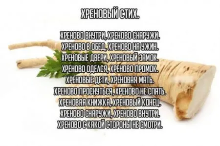 Фото приколы не носки, не нужно их искать