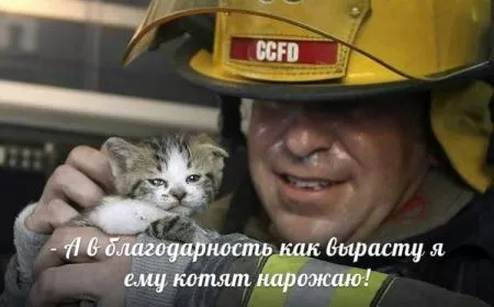 Прикольные картинки с животными