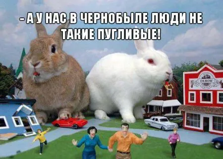 Прикольные картинки с животными
