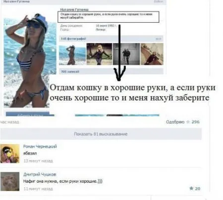 Смешные комментарии из социальных сетей