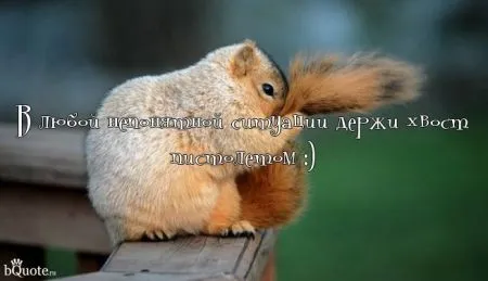 В любой ситуации держи хвост пистолетом ) ) ) А ещё улыбайся.