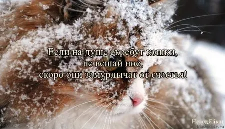 В любой ситуации держи хвост пистолетом ) ) ) А ещё улыбайся.