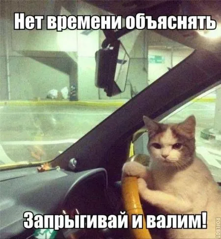 Автомобильные приколы, такие автомобильные :)