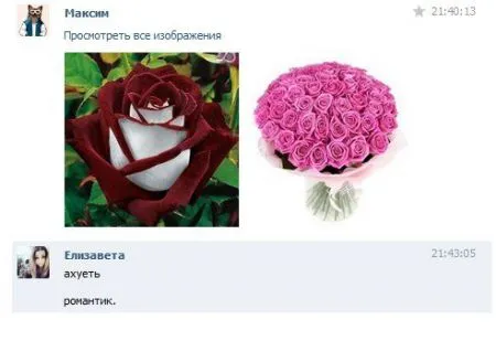 Переписки из интернета, как всегда веселые