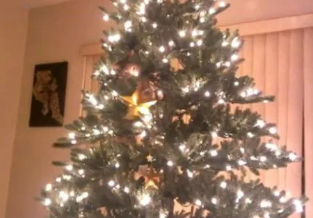 Кот и рождественская ёлка