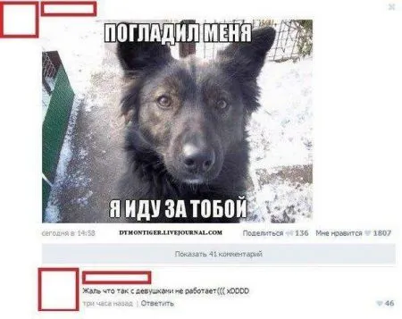 Приколы и фото не вредные