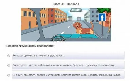 Вот Такие экзаменационные вопросы в ГАИ