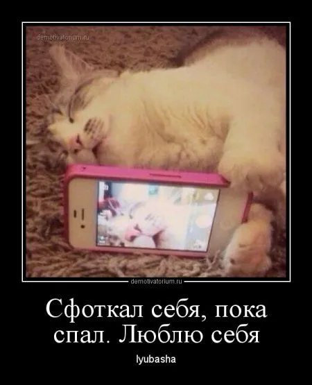 Это опять они! Ваши демотиваторы