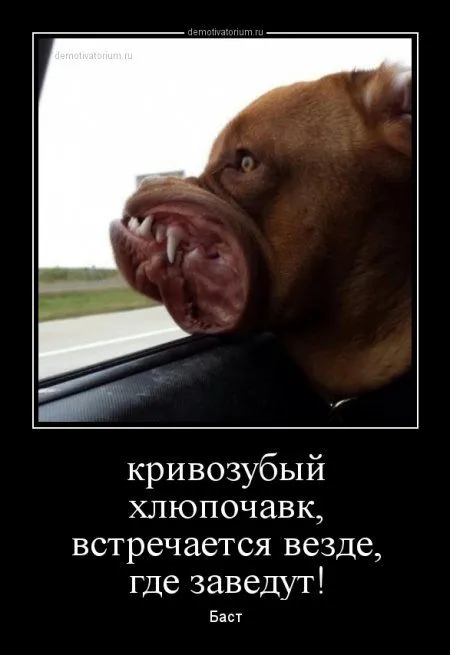 Это опять они! Ваши демотиваторы