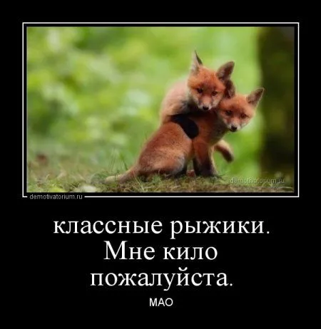 Это опять они! Ваши демотиваторы