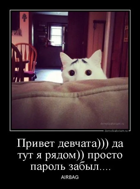 Это опять они! Ваши демотиваторы