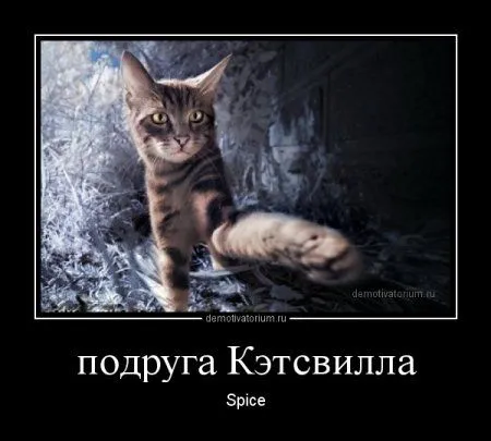 Это опять они! Ваши демотиваторы